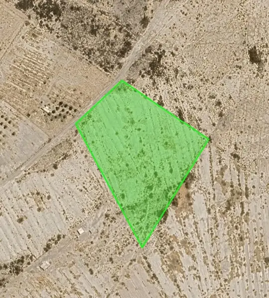Terreno en venta en San Isidro, Parras — foto 2 de 6