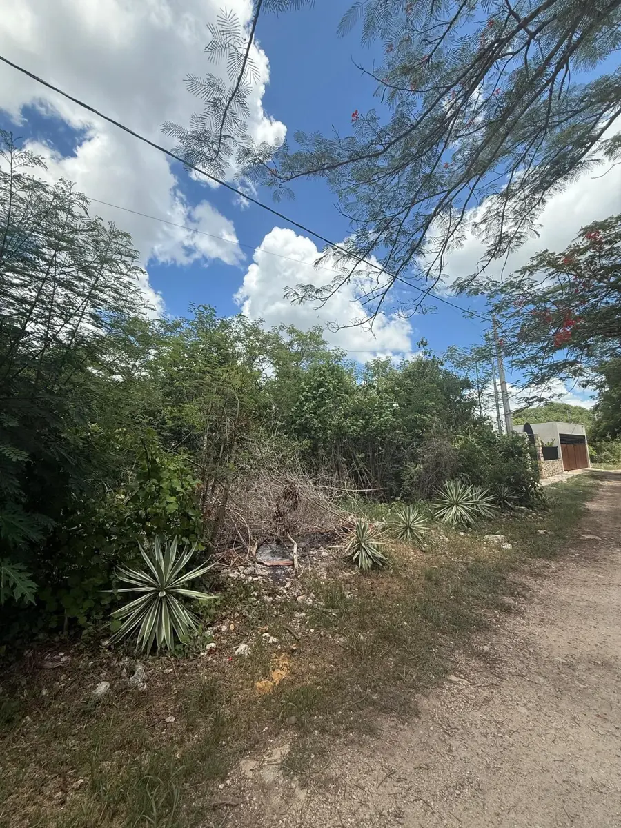 Terreno en venta en Jalapa, Mérida — foto 1 de 3
