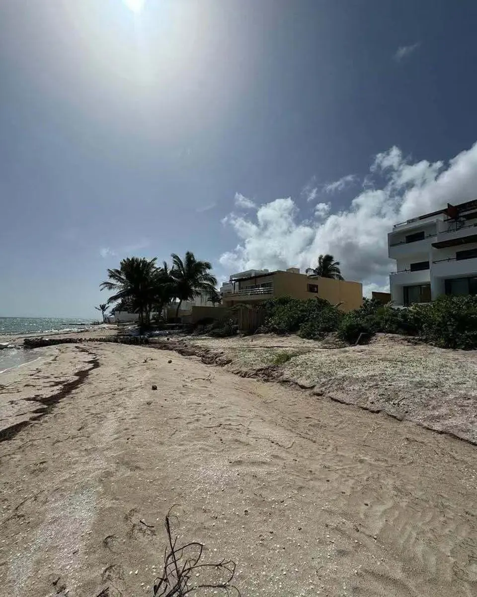 Terreno en venta en San Benito, Dzemul — foto 1 de 5