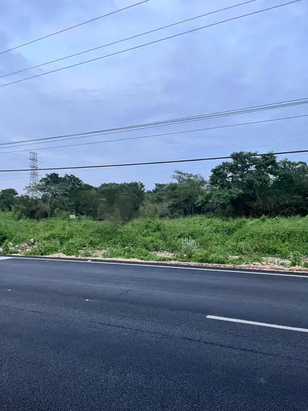 Terreno en renta en 60 Norte, Mérida — foto 3 de 4