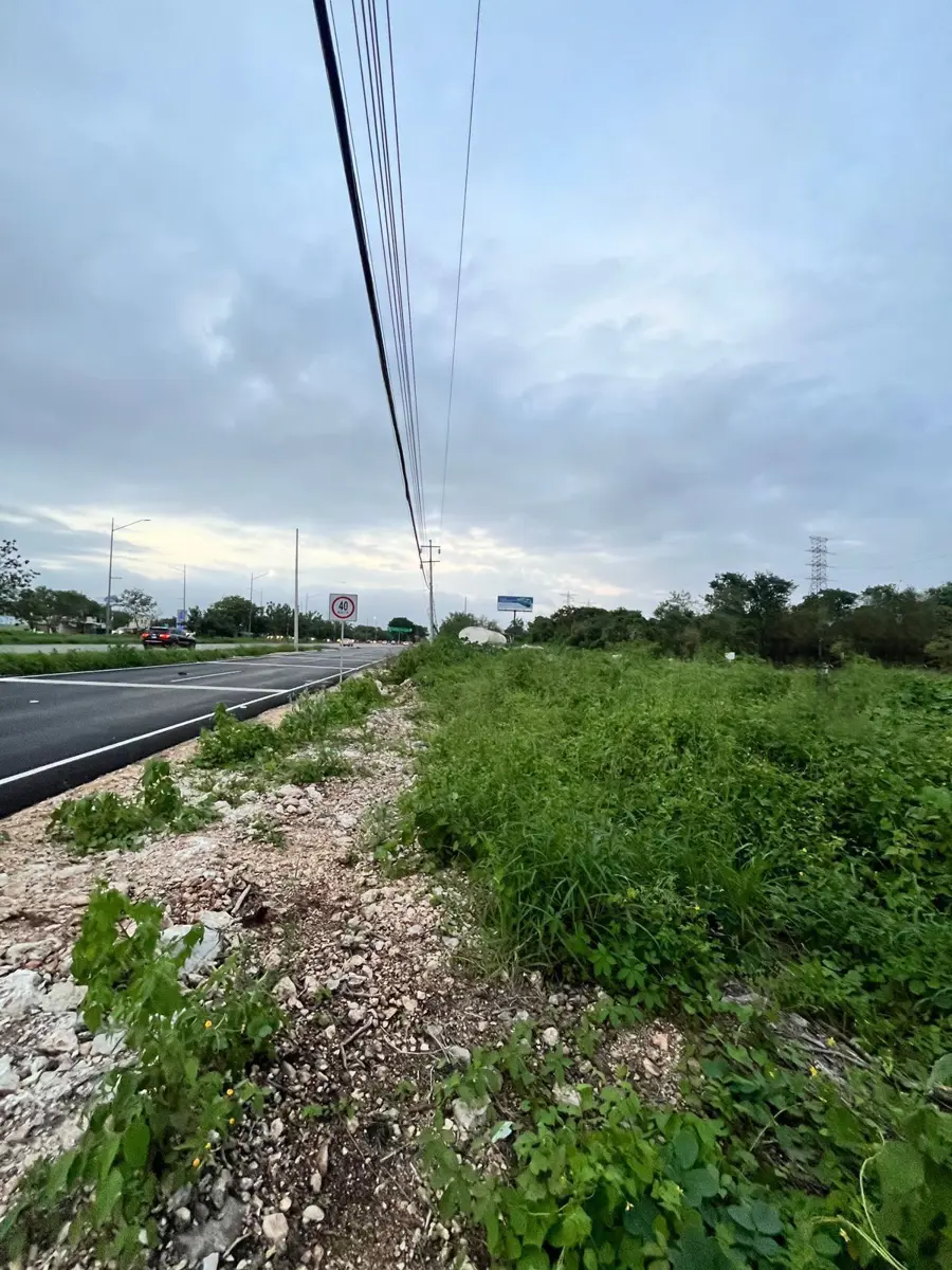 Terreno en renta en 60 Norte, Mérida — foto 1 de 4