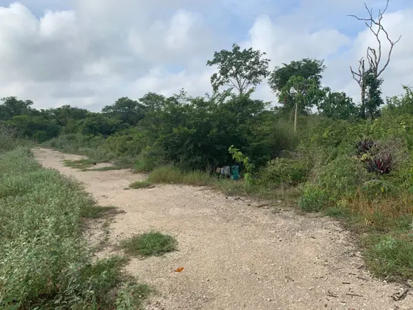 Terreno en venta en Dzitya, Mérida — foto 3 de 7