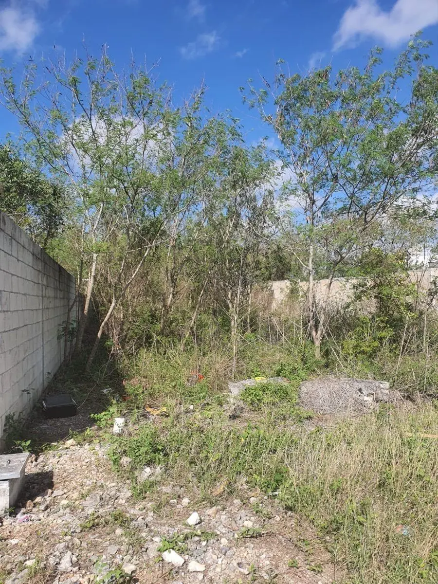 Terreno en venta en Dzitya, Mérida — foto 1 de 4