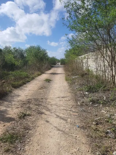 Terreno en venta en Dzitya, Mérida — foto 3 de 4