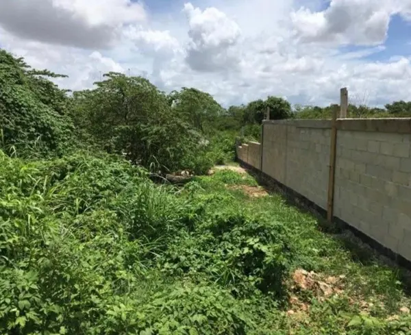 Terreno en venta en Dzitya, Mérida — foto 3 de 6