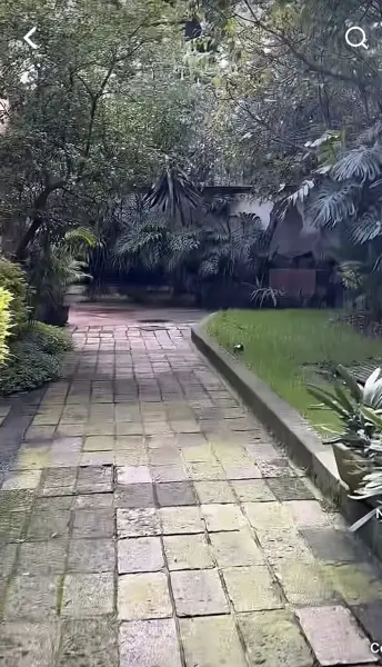 Casa en renta en La Concepcion, Coyoacán — foto 2 de 6