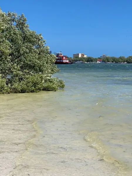 Terreno en venta en Isla de Holbox, Lázaro Cárdenas — foto 2 de 10