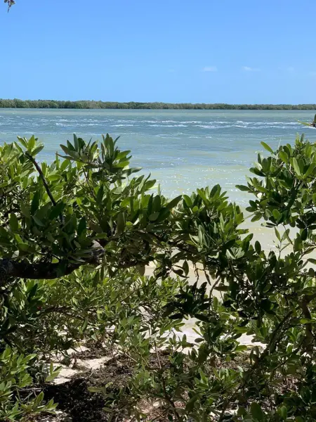 Terreno en venta en Isla de Holbox, Lázaro Cárdenas — foto 3 de 10