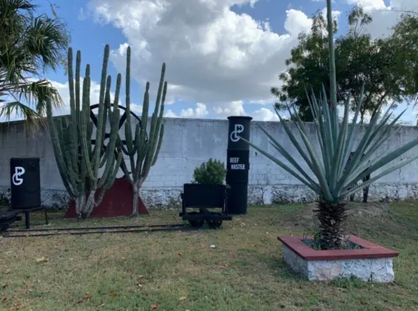 Terreno en venta en Tixkuncheil, Baca — foto 3 de 8