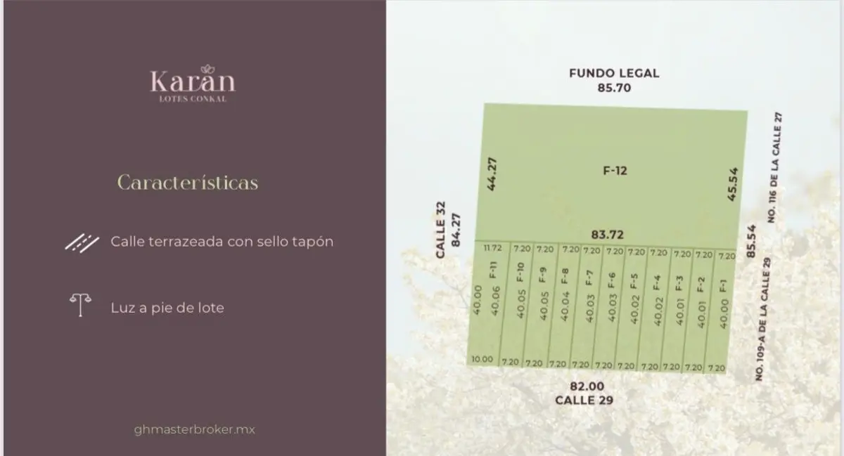 Terreno en venta en Conkal, Conkal — foto 1 de 2