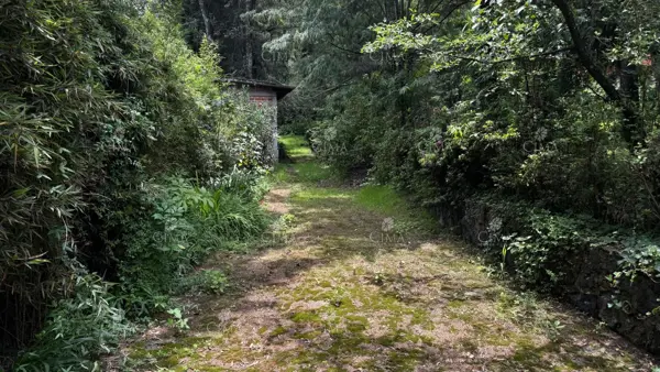 Terreno en venta en Guayacahuala, Huitzilac — foto 2 de 10
