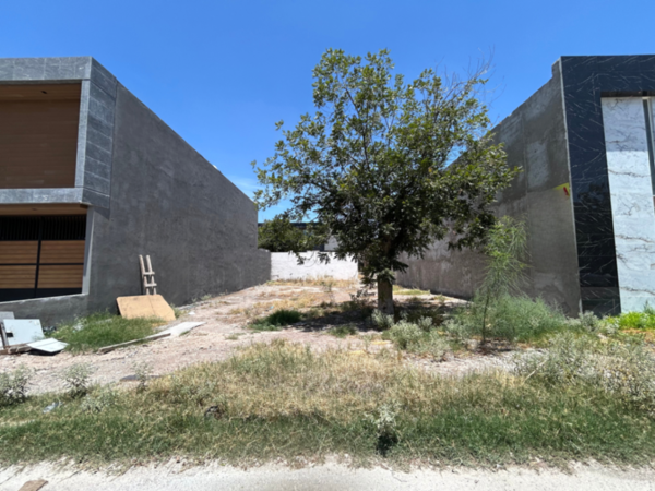 Terreno en venta en Las Trojes, Torreón — foto 3 de 6