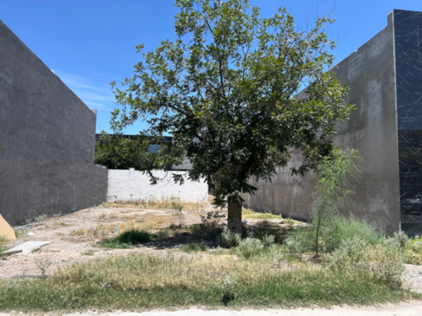 Terreno en venta en Las Trojes, Torreón — foto 2 de 6