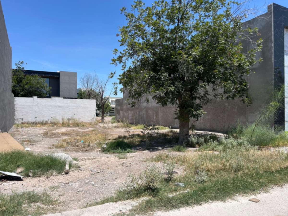Terreno en venta en Las Trojes, Torreón — foto 1 de 6