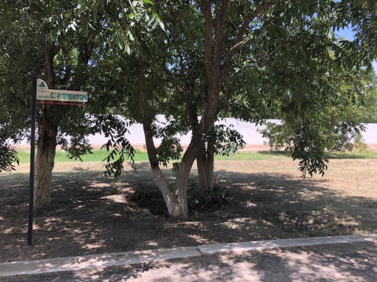 Terreno en Venta en San Armando, Torreón, Coahuila de Zaragoza Terreno en Venta en San Armando, Torreón, Coahuila de Zaragoza