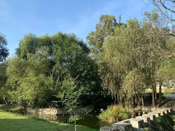 Terreno en venta en Paseo del Parque, Morelia — foto 3 de 8