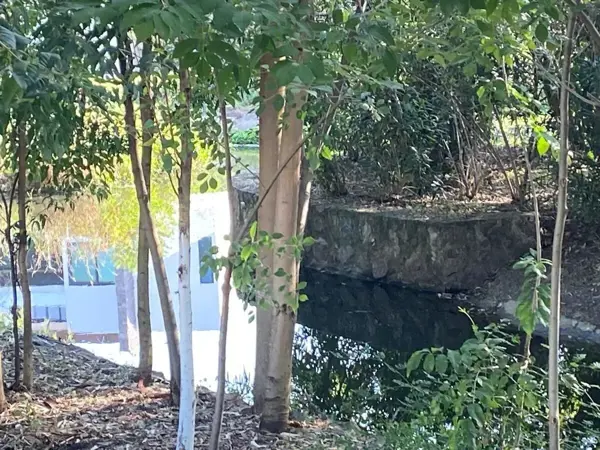 Terreno en venta en Paseo del Parque, Morelia — foto 2 de 8