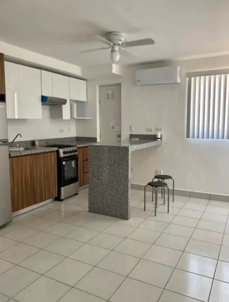 Departamento en venta en Industrial, Monterrey — foto 3 de 14