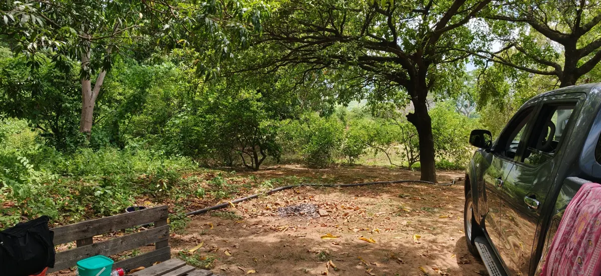 Terreno en venta en Ampliacion Covadonga, Chiapa de Corzo — foto 1 de 4
