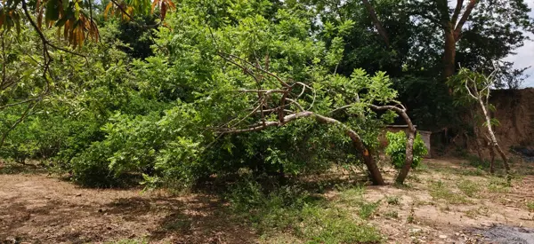 Terreno en venta en Ampliacion Covadonga, Chiapa de Corzo — foto 2 de 4
