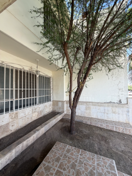 Casa en venta en El Campestre, Gómez Palacio — foto 2 de 11