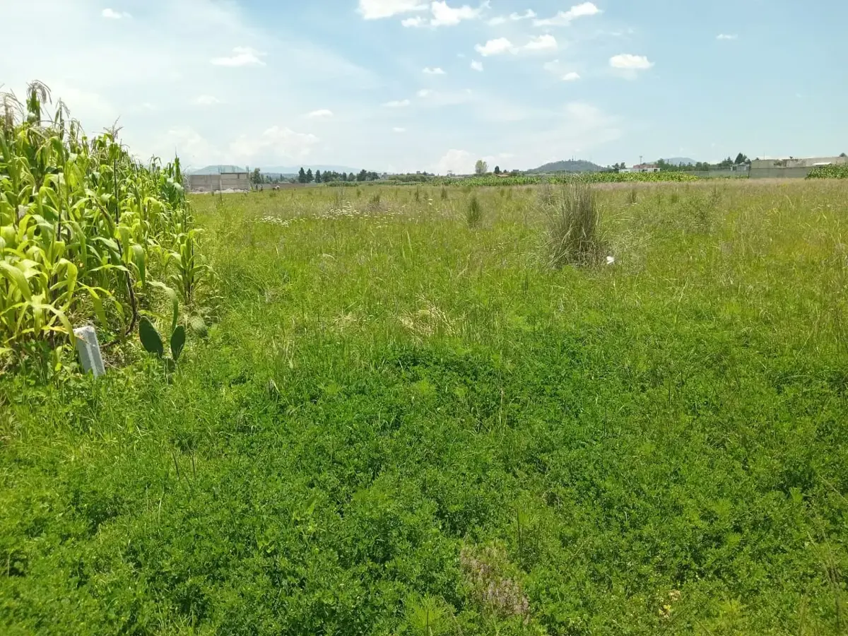 Terreno en venta en San Miguel Totocuitlapilco, Metepec