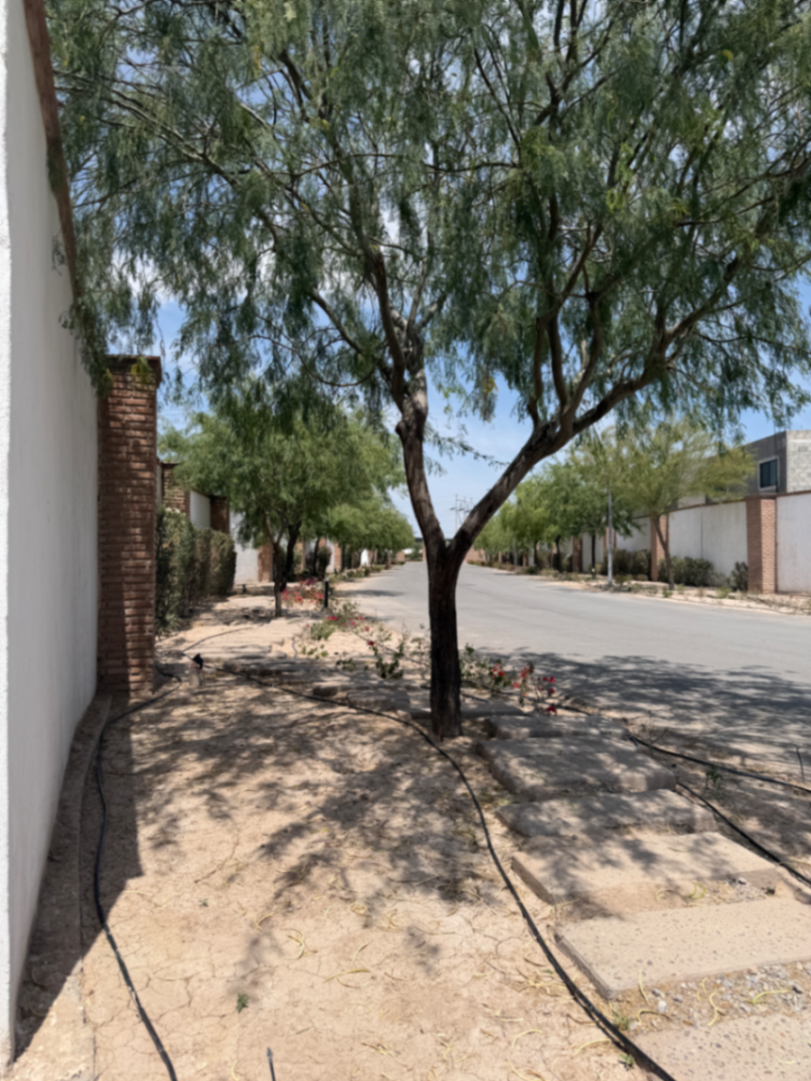 Terreno en venta en Las Trojes, Torreón — foto 1 de 7