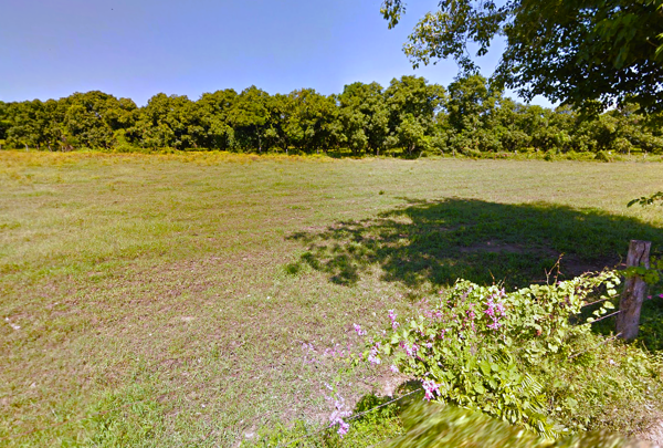 Terreno en venta en La Esperanza, Bahía de Banderas — foto 3 de 12