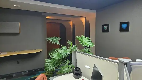 Oficina en renta en Jardines del Pedregal, Álvaro Obregón — foto 3 de 6