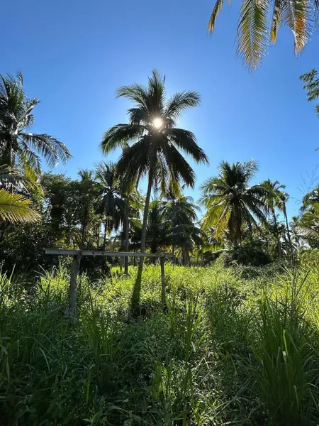 Finca-Rancho en renta en Nuevo, Petatlán — foto 2 de 10