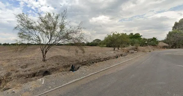 Guanajuato,Villagrán,Cerrito de las Hierbas,Terreno,Venta