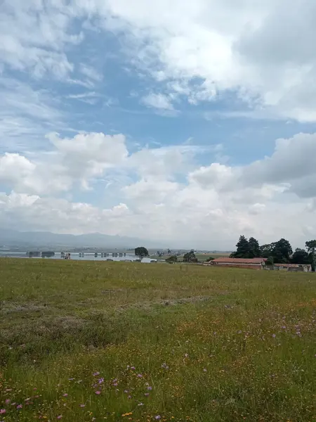 Finca-Rancho en venta en Tlayacapan Centro, Tlayacapan — foto 3 de 10