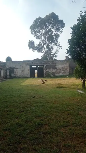 Finca-Rancho en venta en Tlayacapan Centro, Tlayacapan — foto 2 de 10