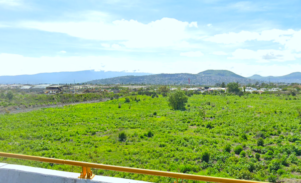 Terreno en venta en Polígono del Bordo de Xochiaca, Nezahualcóyotl — foto 3 de 9