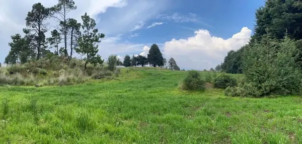 Terreno en venta en Fierro del Toro, Huitzilac — foto 2 de 7