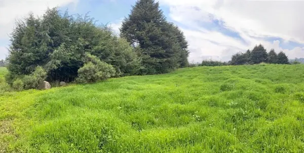 Terreno en venta en Fierro del Toro, Huitzilac — foto 3 de 7