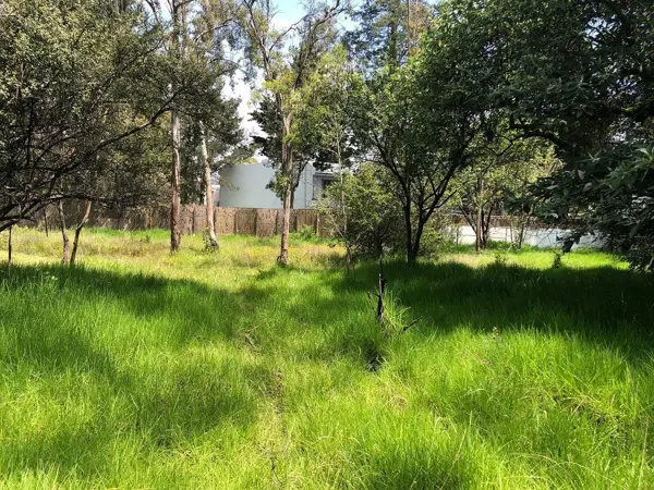 Terreno en venta en Lomas de Vista Hermosa, Cuajimalpa de Morelos — foto 3 de 14