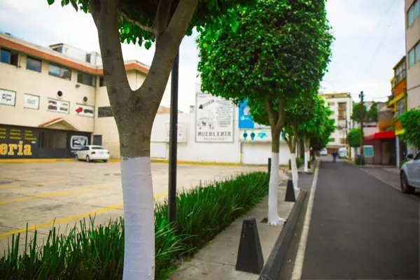 Terreno en venta en Mixcoac, Benito Juárez — foto 2 de 10