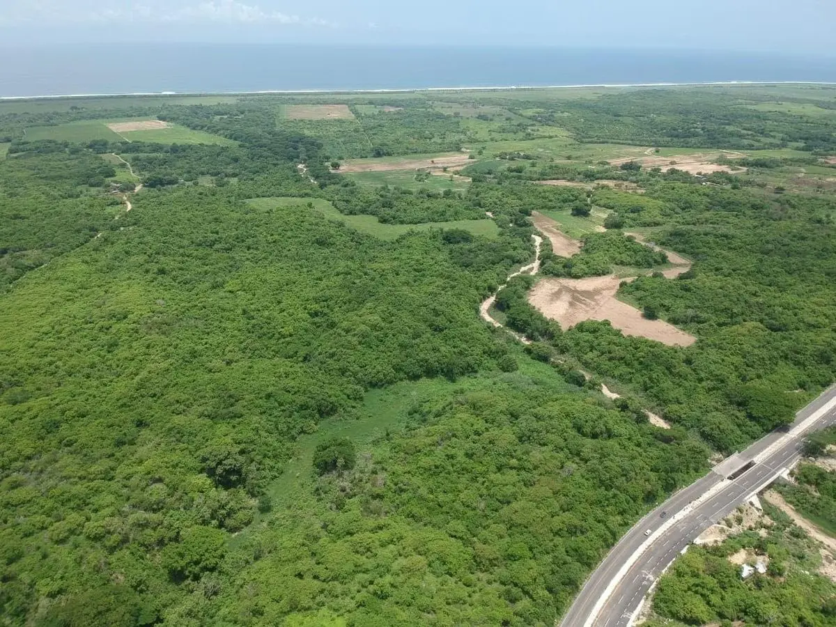 Terreno en venta en Unión del Palmar, Santa María Tonameca — foto 1 de 14