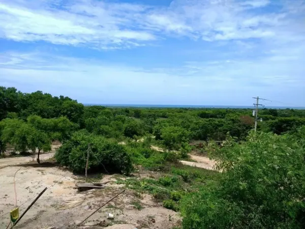 Terreno en venta en Unión del Palmar, Santa María Tonameca — foto 3 de 14