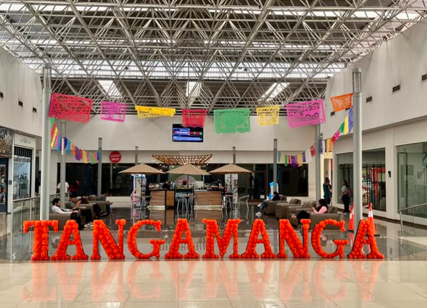 PLAZA TANGAMANGA LOCAL COMERCIAL VENTA SAN LUIS POTOSI