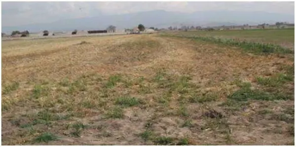 Terreno en venta en San Joaquin Coapango, Texcoco — foto 2 de 13