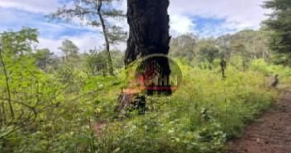 Terreno en venta en Huitzilac, Huitzilac — foto 3 de 11