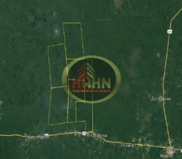 Terreno en venta en Aviación, Calakmul — foto 2 de 12