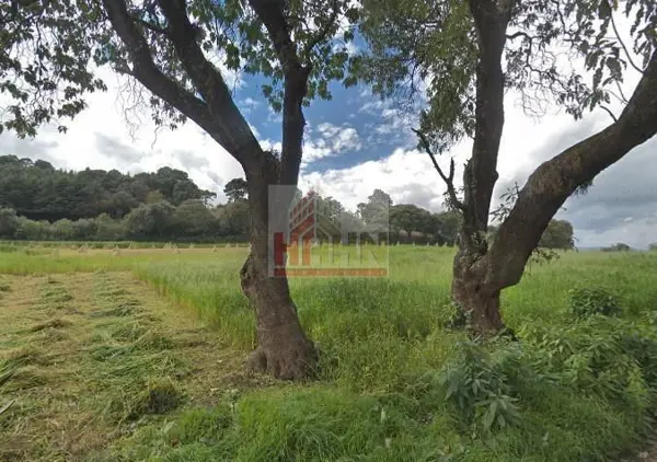 Terreno en venta en San Miguel Ajusco, Tlalpan — foto 2 de 2