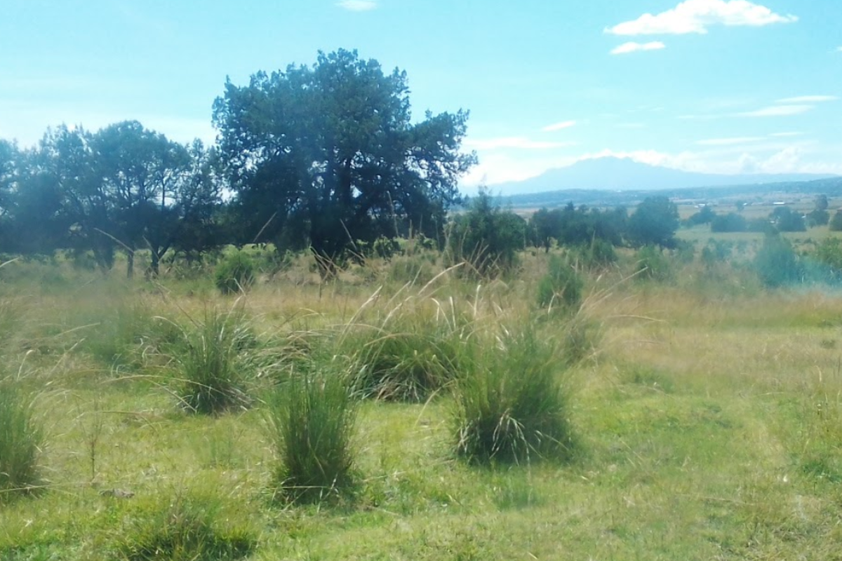 Terreno en venta en Atlangatepec, Atlangatepec — foto 1 de 12