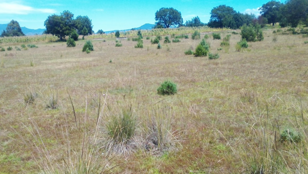 Terreno en venta en Atlangatepec, Atlangatepec — foto 3 de 12
