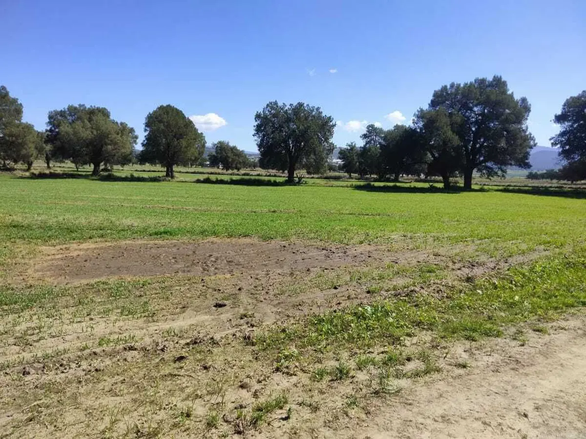 Terreno en venta en 4ta Manzana San Francisco Atexcatzinco, Tetla de la Solidaridad — foto 1 de 8