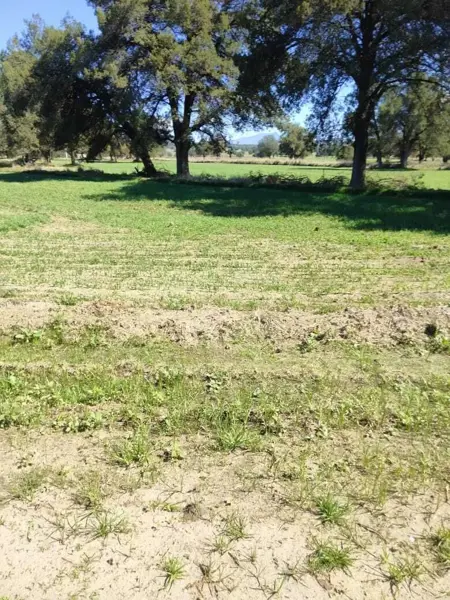 Terreno en venta en 4ta Manzana San Francisco Atexcatzinco, Tetla de la Solidaridad — foto 3 de 8