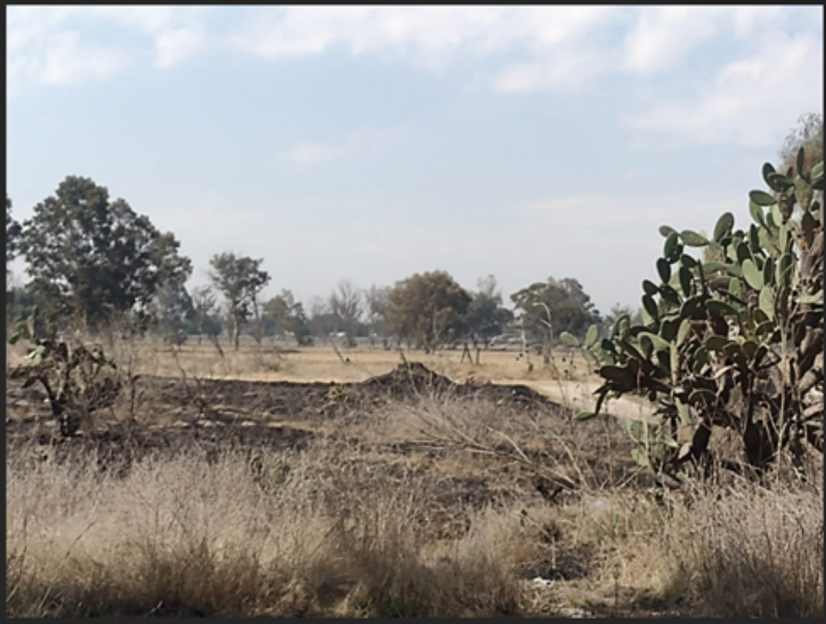 Terreno en venta en Pueblo Nuevo de San Pedro, Zumpango — foto 1 de 10